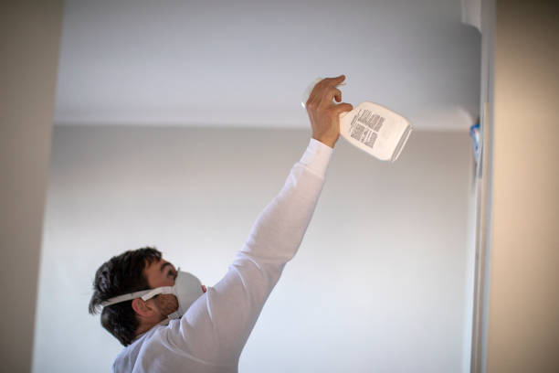 Best Mold Removal Near Me  in Robinson, TX