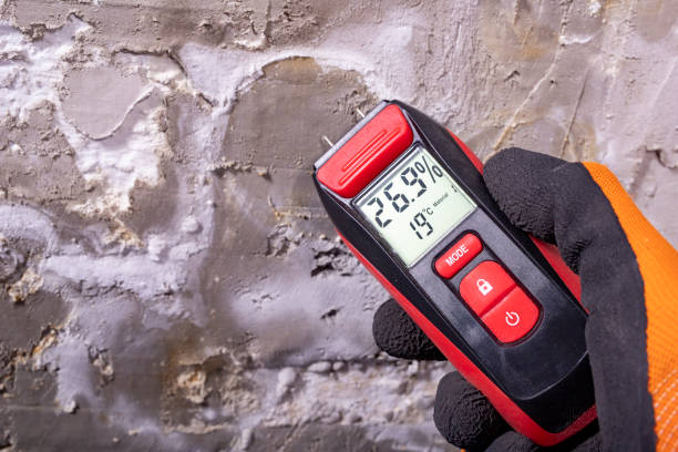 Trusted Robinson, TX Mold Removal Experts