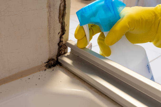 Best Professional Mold Removal  in Robinson, TX