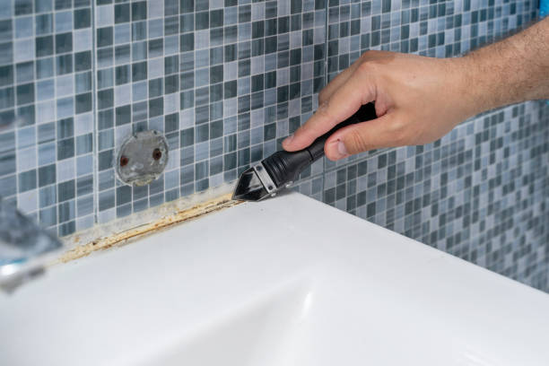 Best Office Mold Removal Services  in Robinson, TX