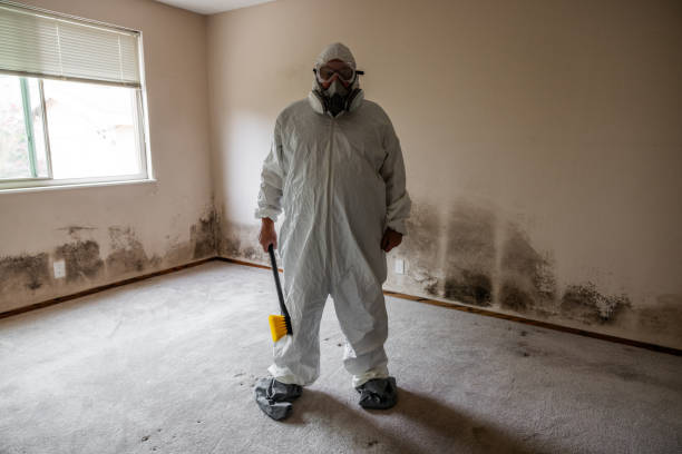 Best Mold Remediation  in Robinson, TX